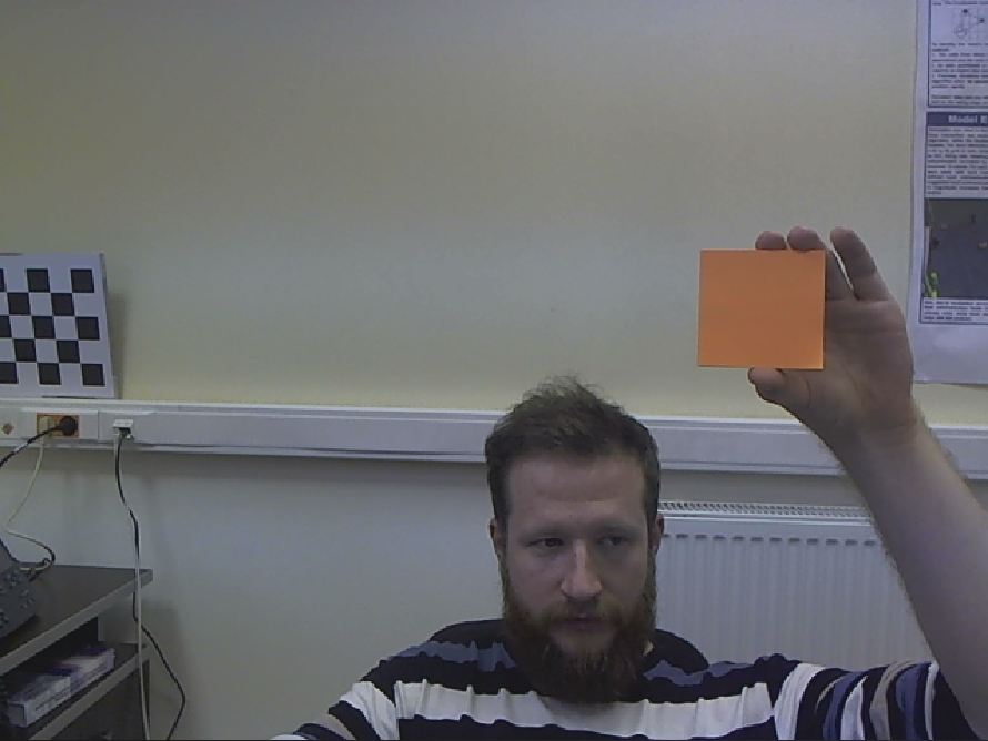 pose negative example